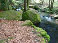 Altes Laub und grüne Felsblöcke am Höllbach